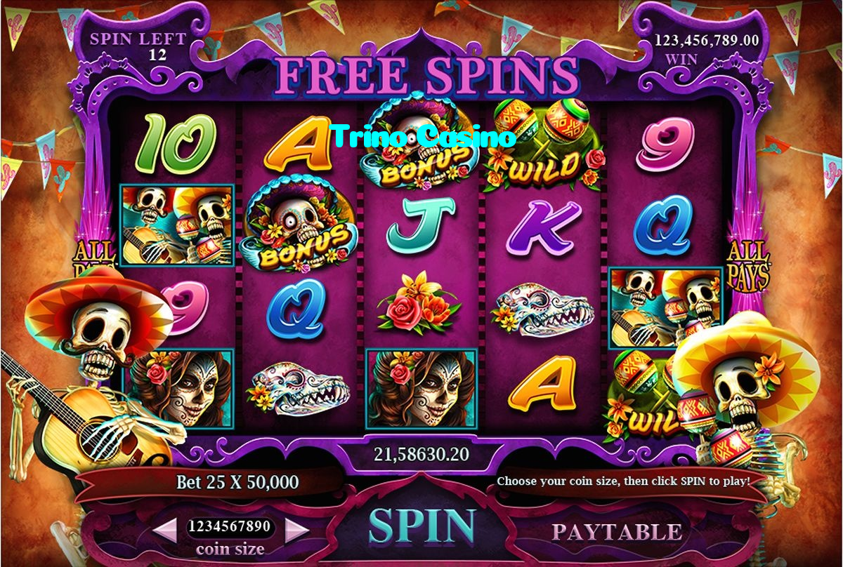 available types of Trino Casino bet including pre-match live express and system bets
